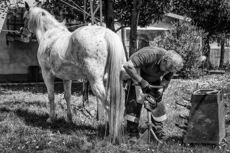 Mestierarti-06-Maniscalco